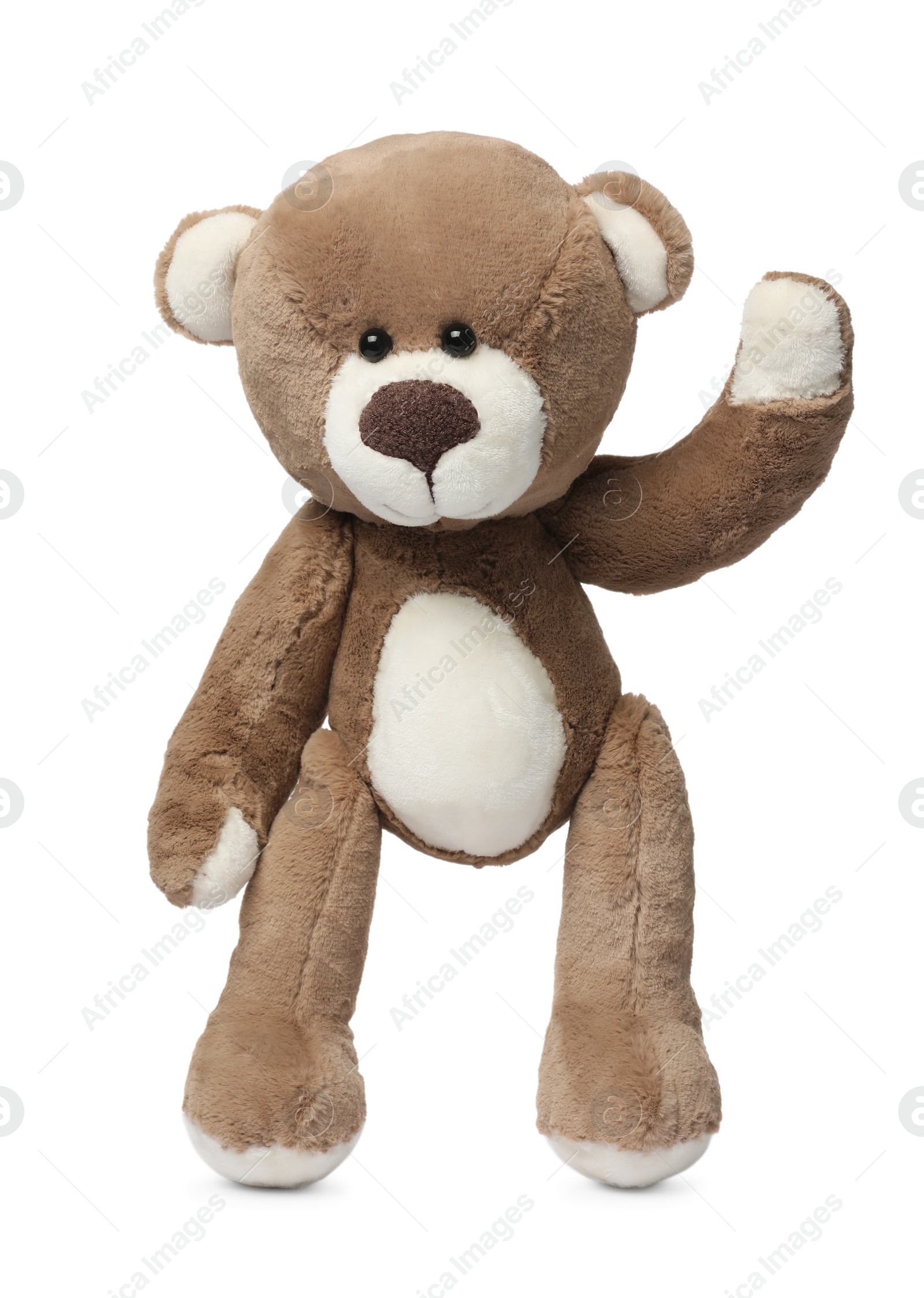 Photo of Cute teddy bear isolated on white. Child`s toy