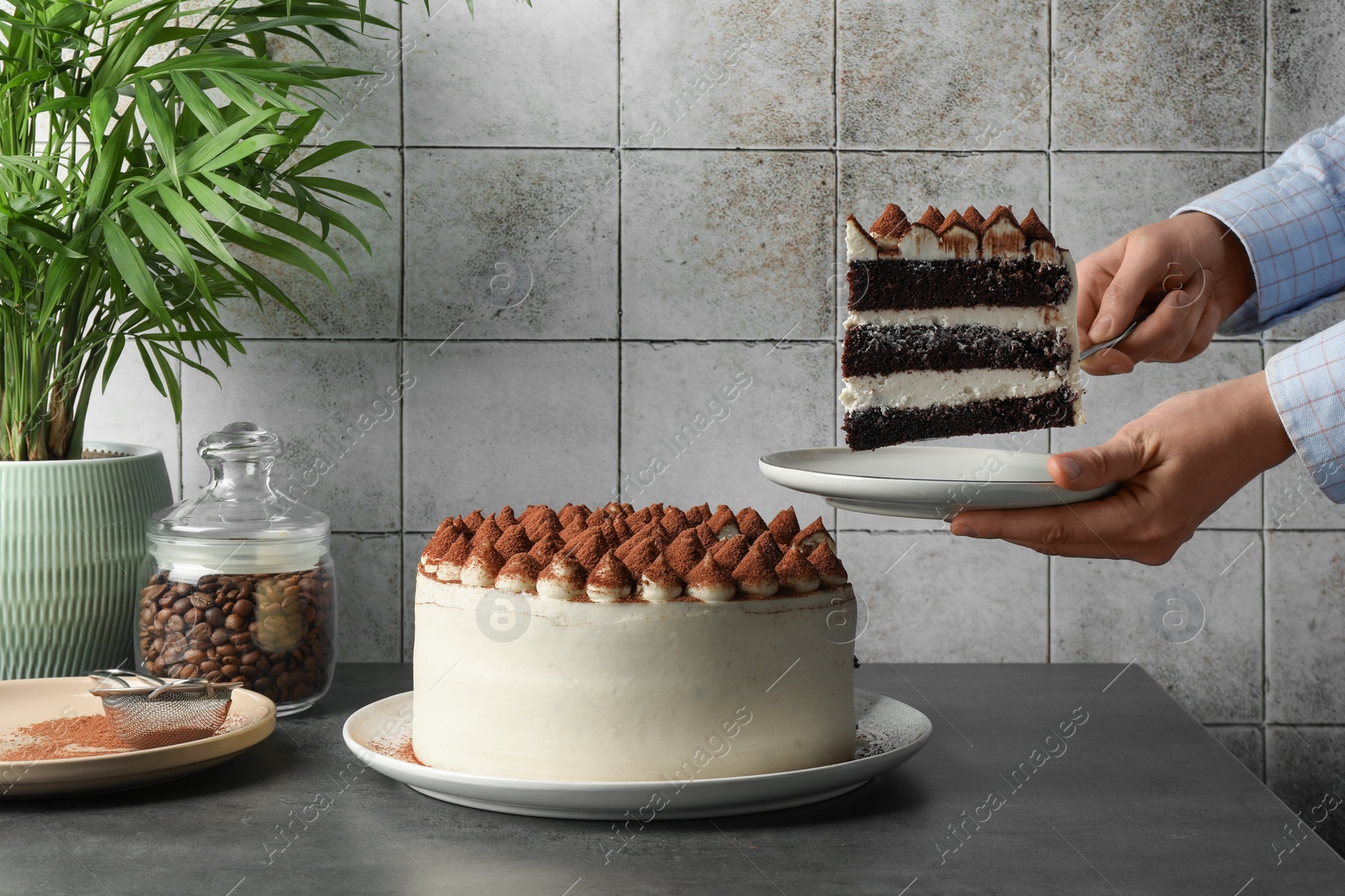 Photo of Woman taking piece of delicious tiramisu cake with server at grey table, closeup