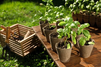 Photo of Beautiful seedlings in peat pots on wooden table and crate with gardening tools outdoors