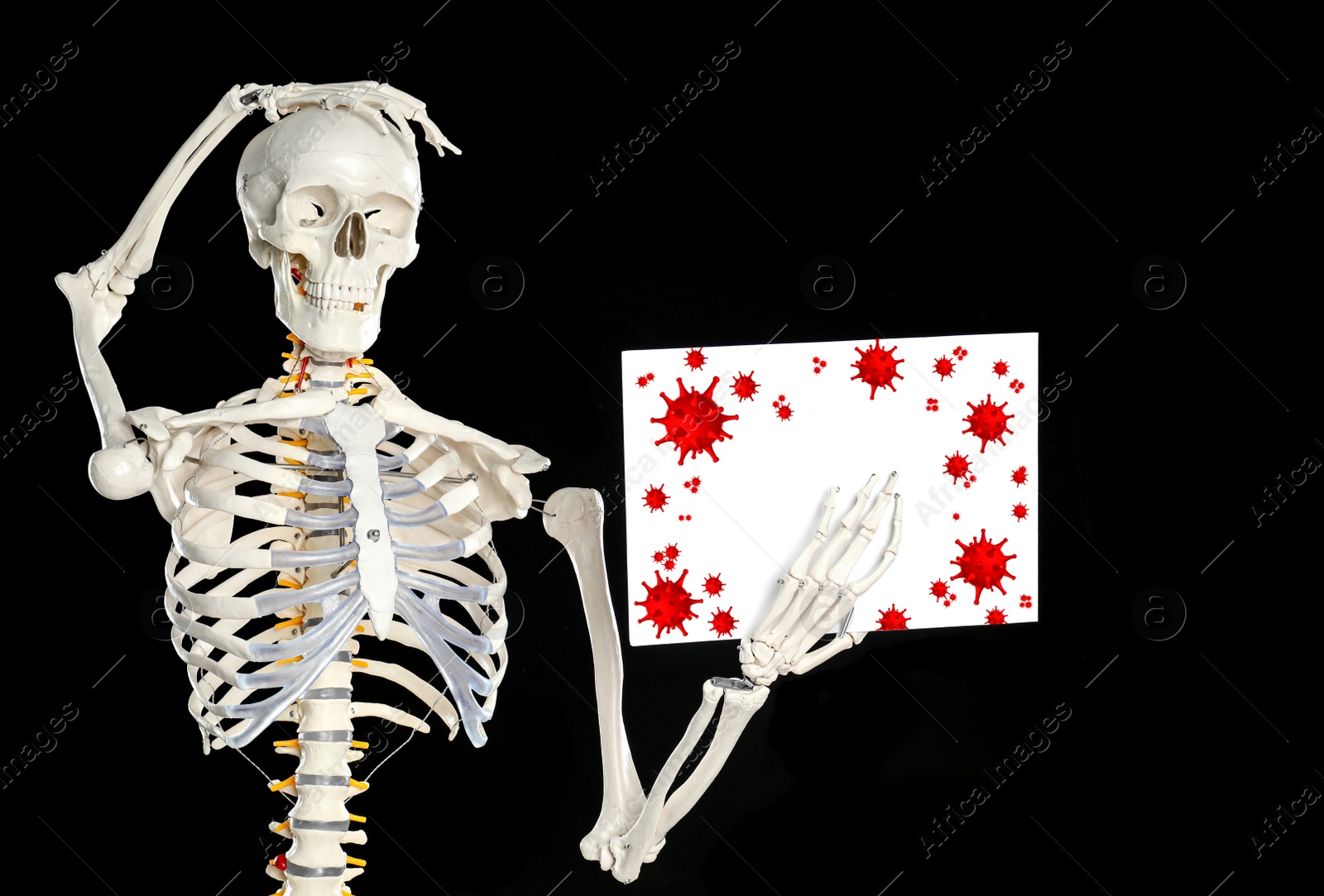 Image of Artificial human skeleton with illustration of virus on black background