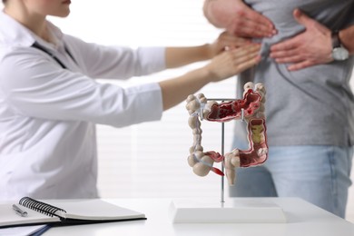 Gastroenterologist examining patient with stomach pain indoors, focus on anatomical model of large intestine