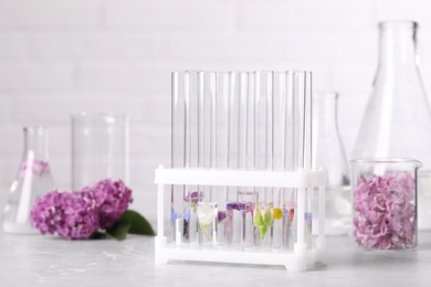 Photo of Test tubes with different flowers on light table. Essential oil extraction