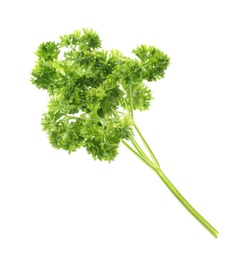 Fresh green curly parsley on white background