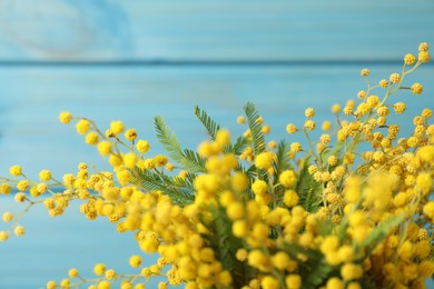 Photo of Beautiful mimosa flowers on light blue background, closeup