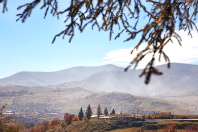 Picturesque landscape with pine tree boughs and mountains