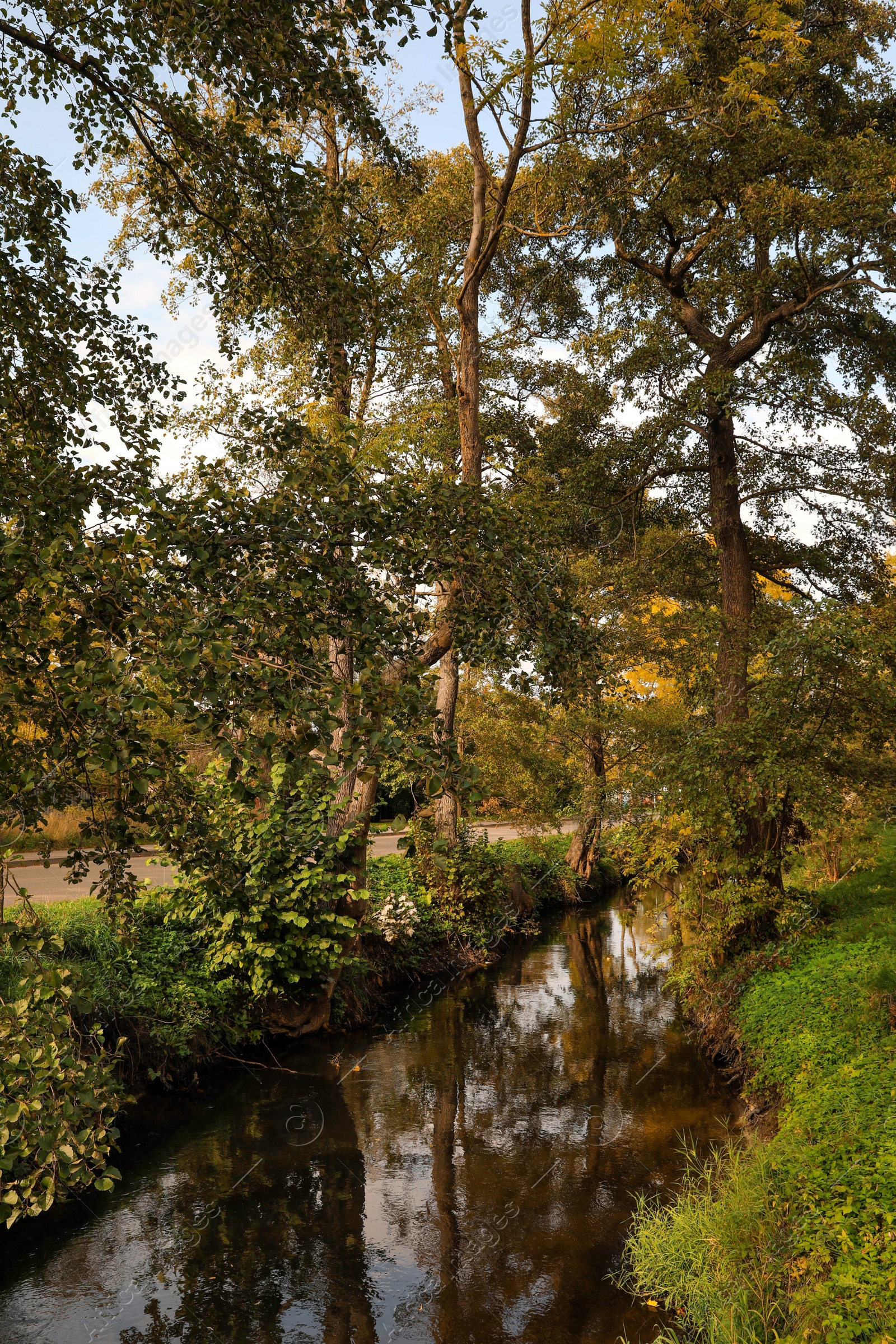 Photo of Picturesque view of river in beautiful park. Autumn season