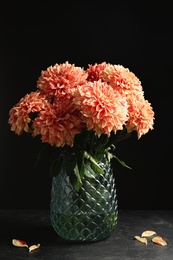 Photo of Beautiful coral dahlia flowers in vase on table against black background