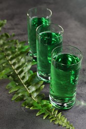 Absinthe in shot glasses and fern leaf on gray table, closeup. Alcoholic drink