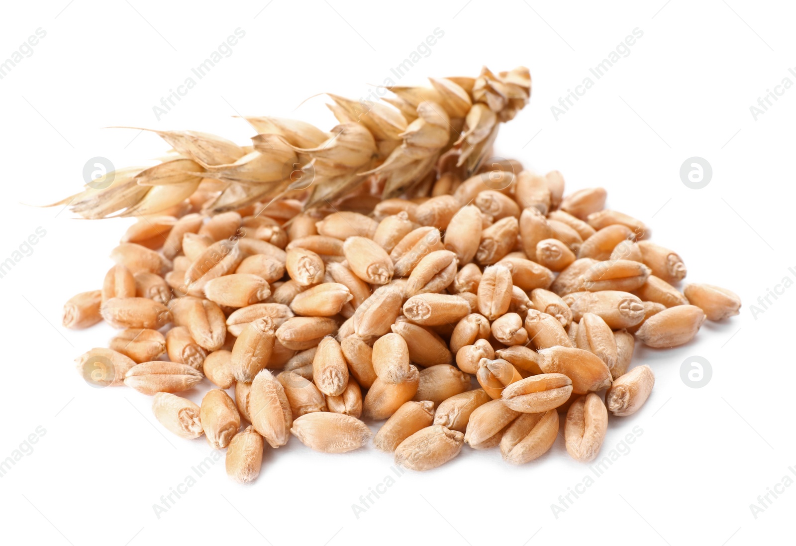 Photo of Pile of wheat grains and spike on white background