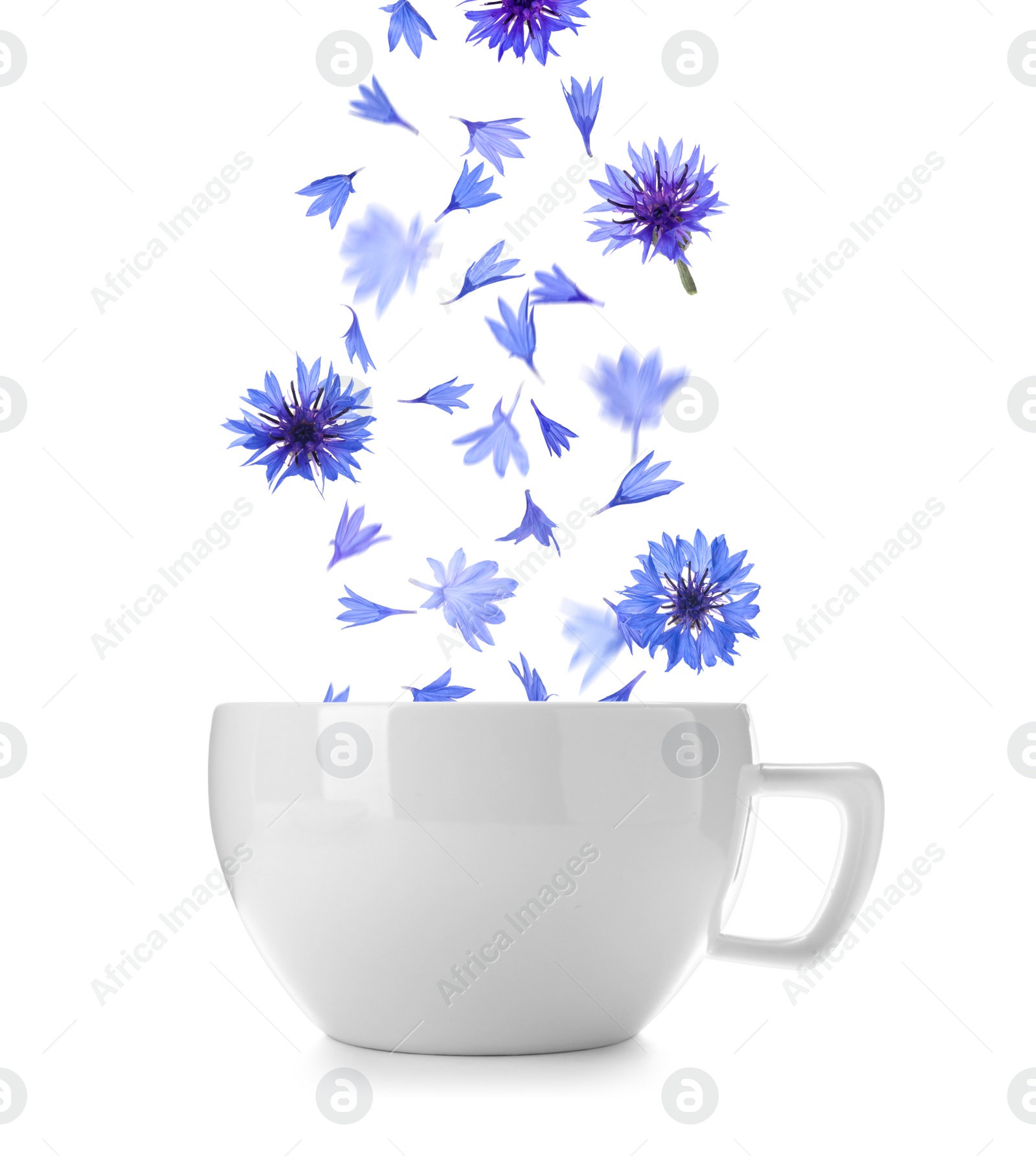 Image of Beautiful tender blue cornflower petals falling into cup of tea on white background