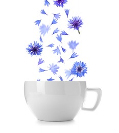 Image of Beautiful tender blue cornflower petals falling into cup of tea on white background