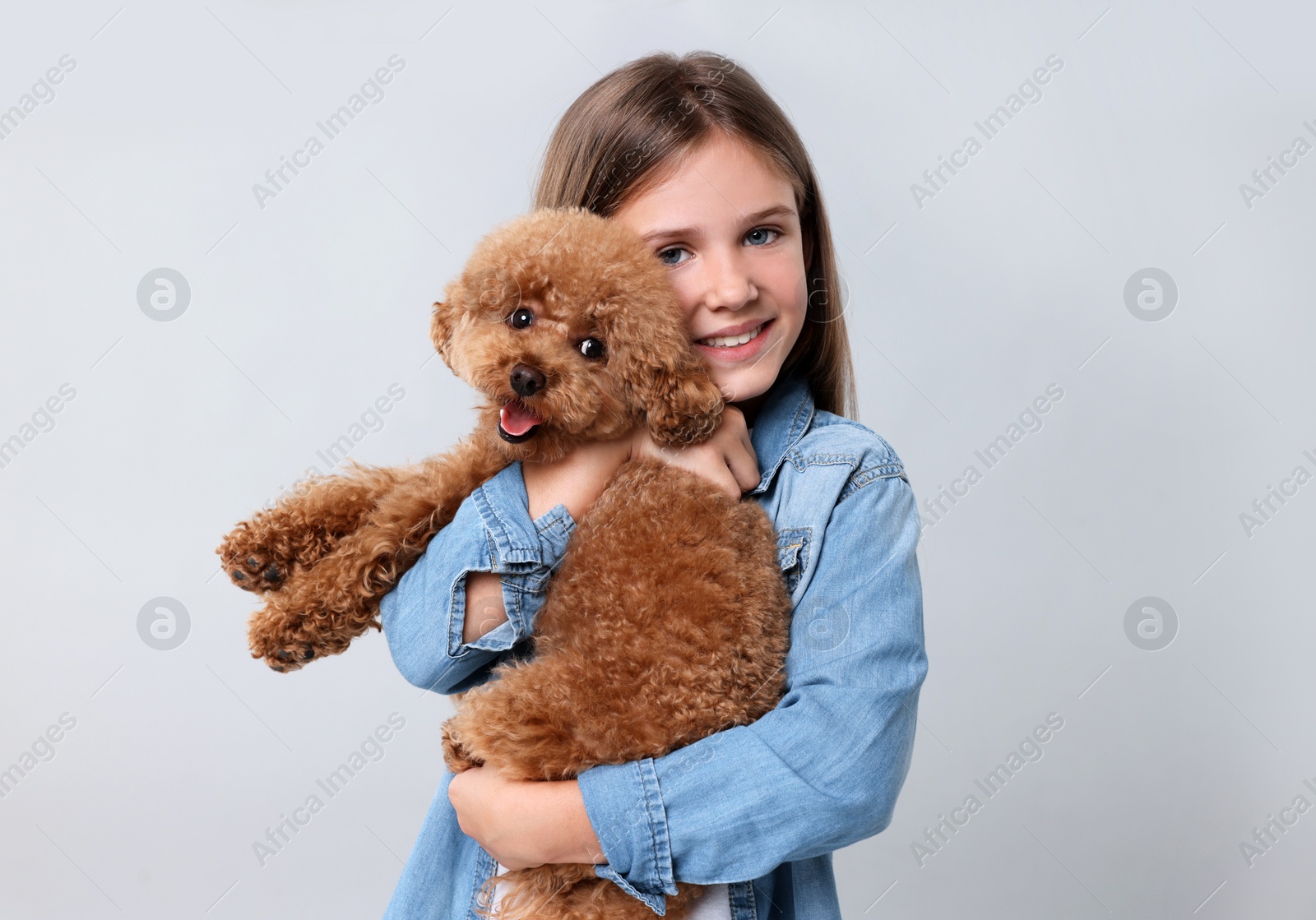 Photo of Little child with cute puppy on light grey background. Lovely pet