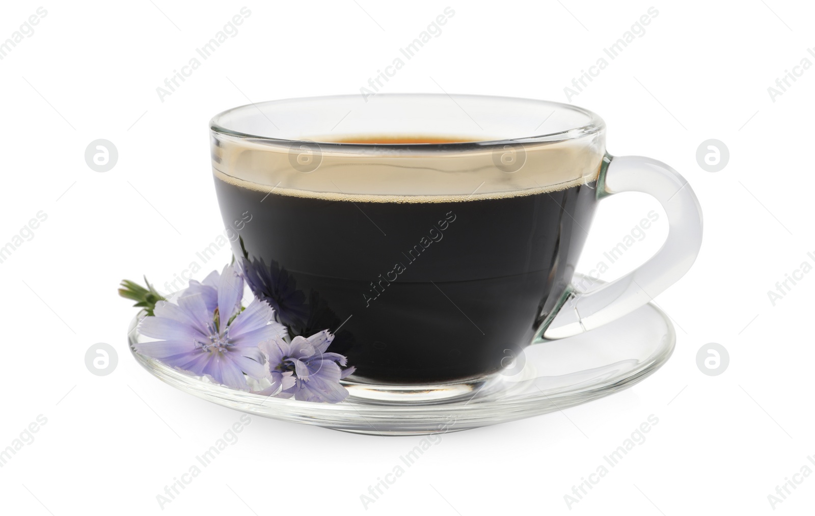 Photo of Glass cup of delicious chicory drink and flowers on white background