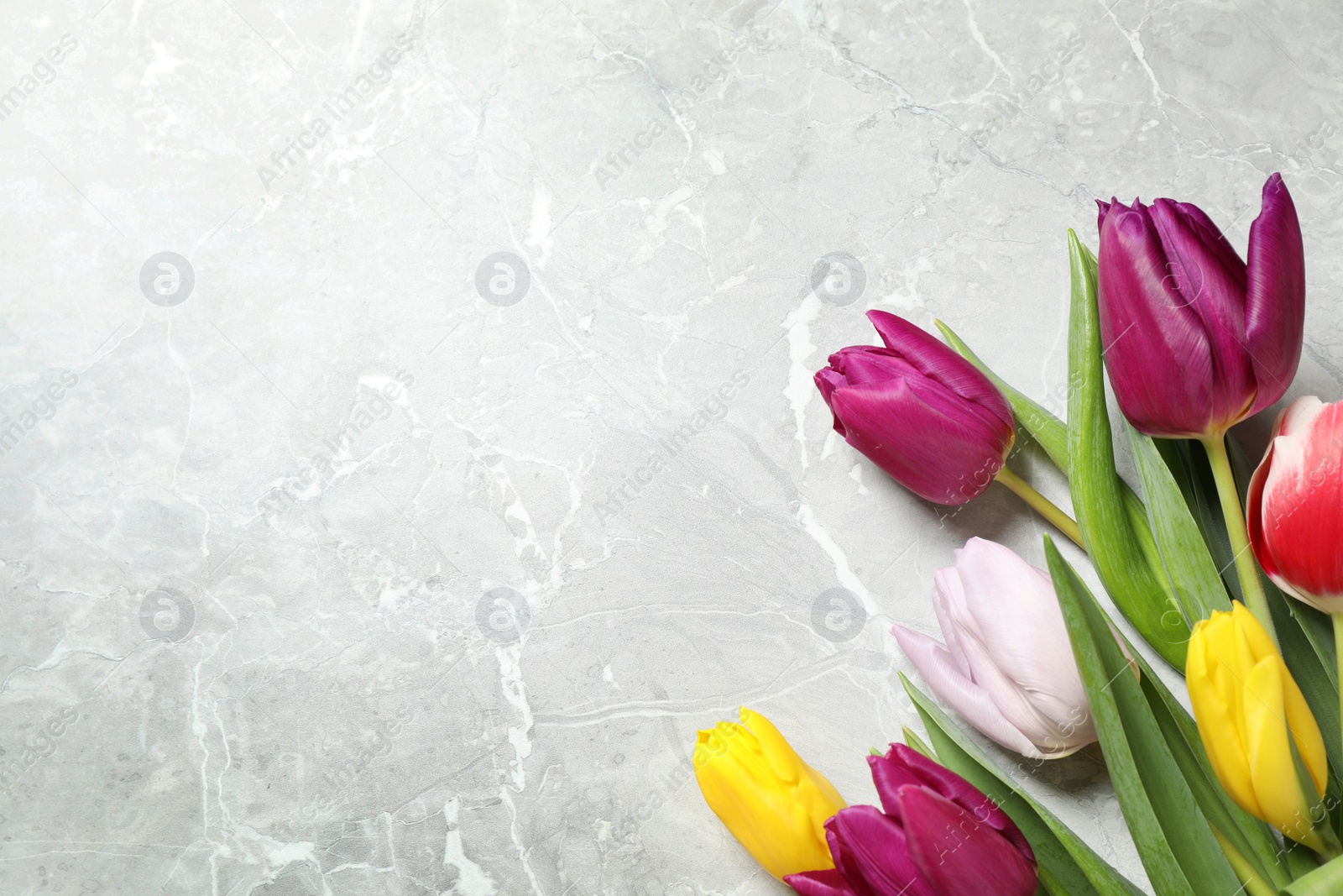 Photo of Beautiful spring tulips on grey marble table, flat lay. Space for text