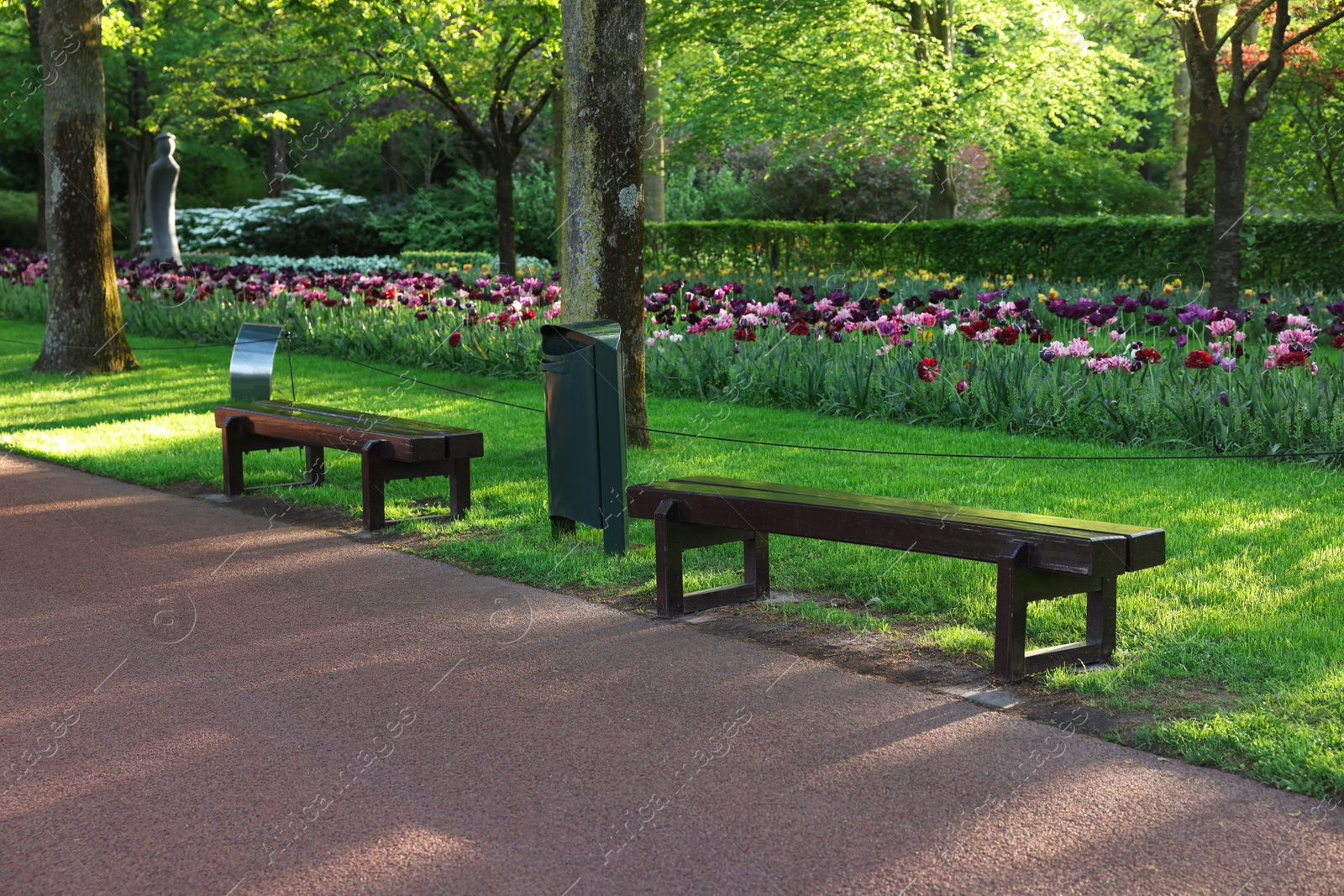 Photo of Park with variety of beautiful flowers, trees and wooden benches on sunny day. Spring season