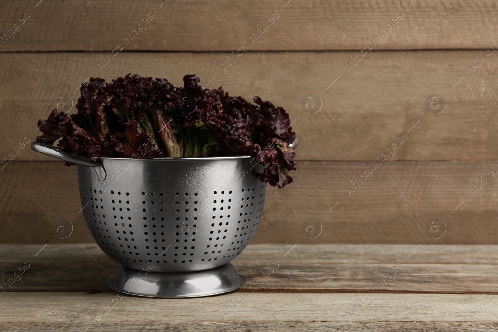 Photo of Colander with red coral lettuce on wooden table. Space for text