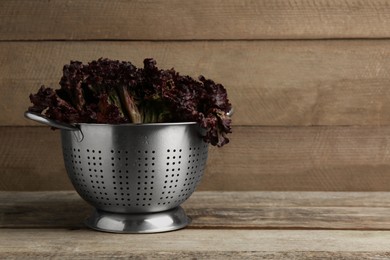 Colander with red coral lettuce on wooden table. Space for text