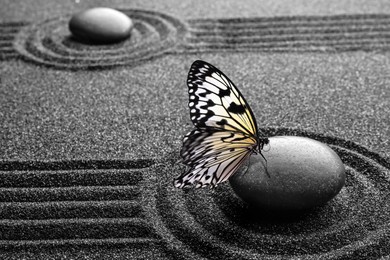 Image of Beautiful butterfly and stone on black sand with pattern. Zen concept