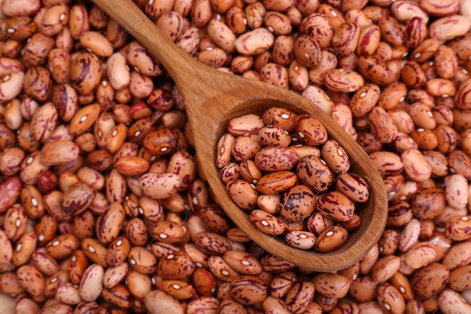 Photo of Wooden spoon on dry kidney beans, top view