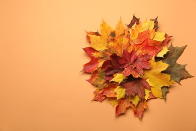Photo of Autumn season. Colorful maple leaves on pale orange background, top view with space for text