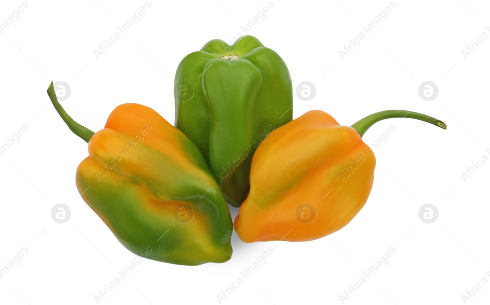 Photo of Different fresh raw hot chili peppers isolated on white, top view
