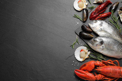 Photo of Fresh fish and different seafood on black table, flat lay. Space for text