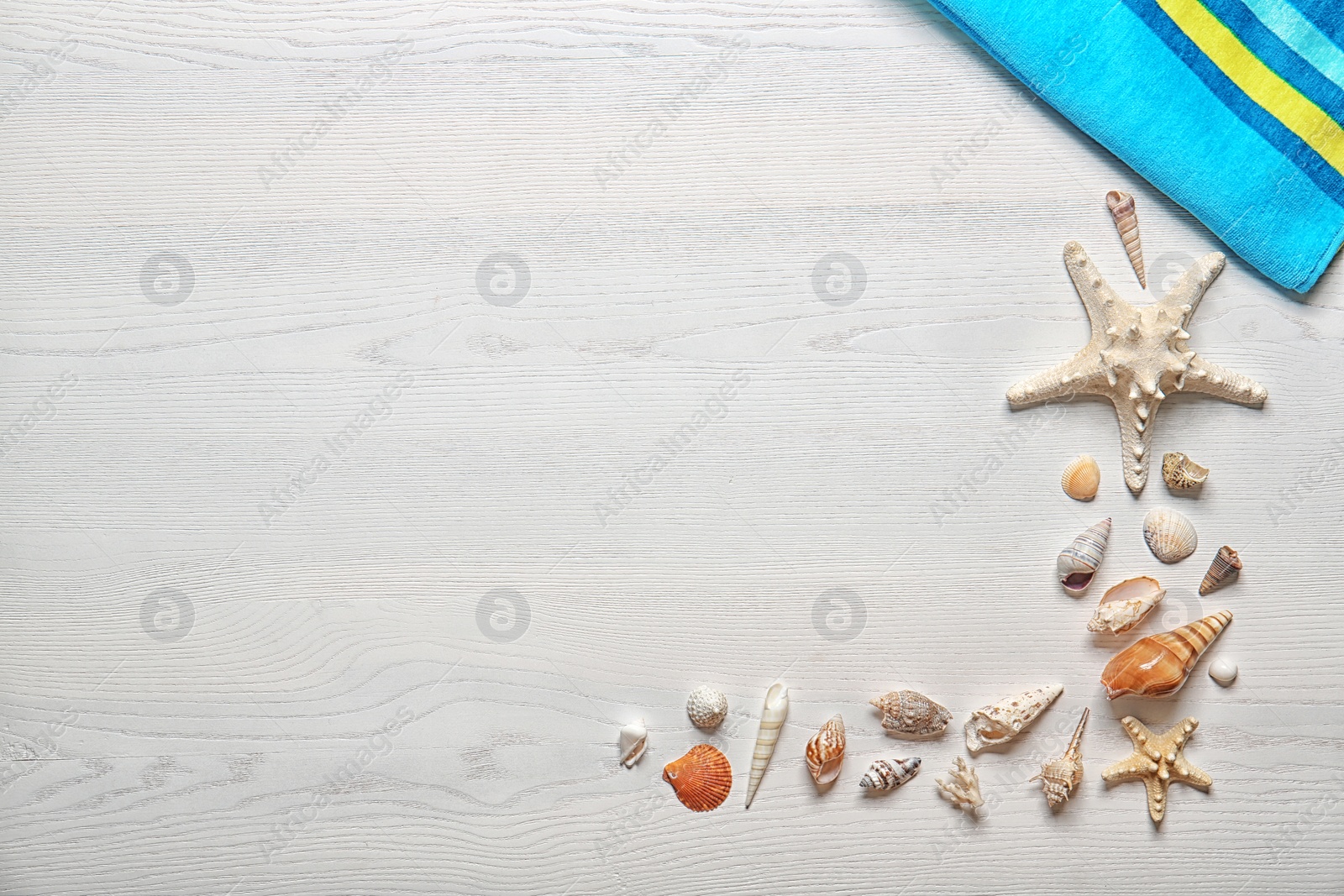 Photo of Flat lay composition with seashells on wooden background. Beach objects