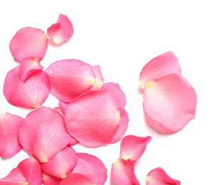 Fresh pink rose petals on white background, top view