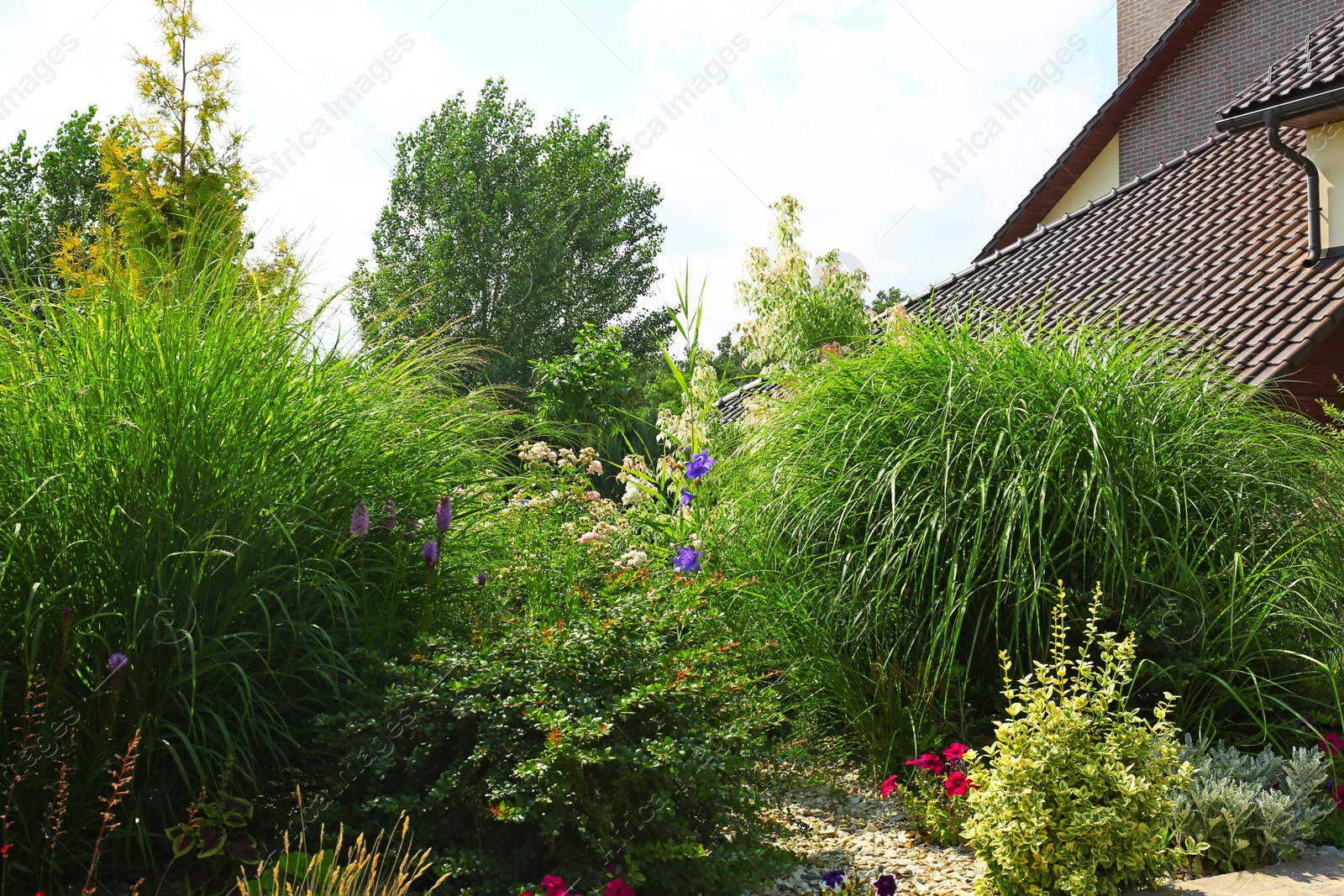 Photo of Beautiful green garden near modern house on sunny day