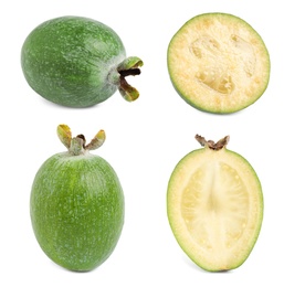 Set of fresh ripe feijoas on white background