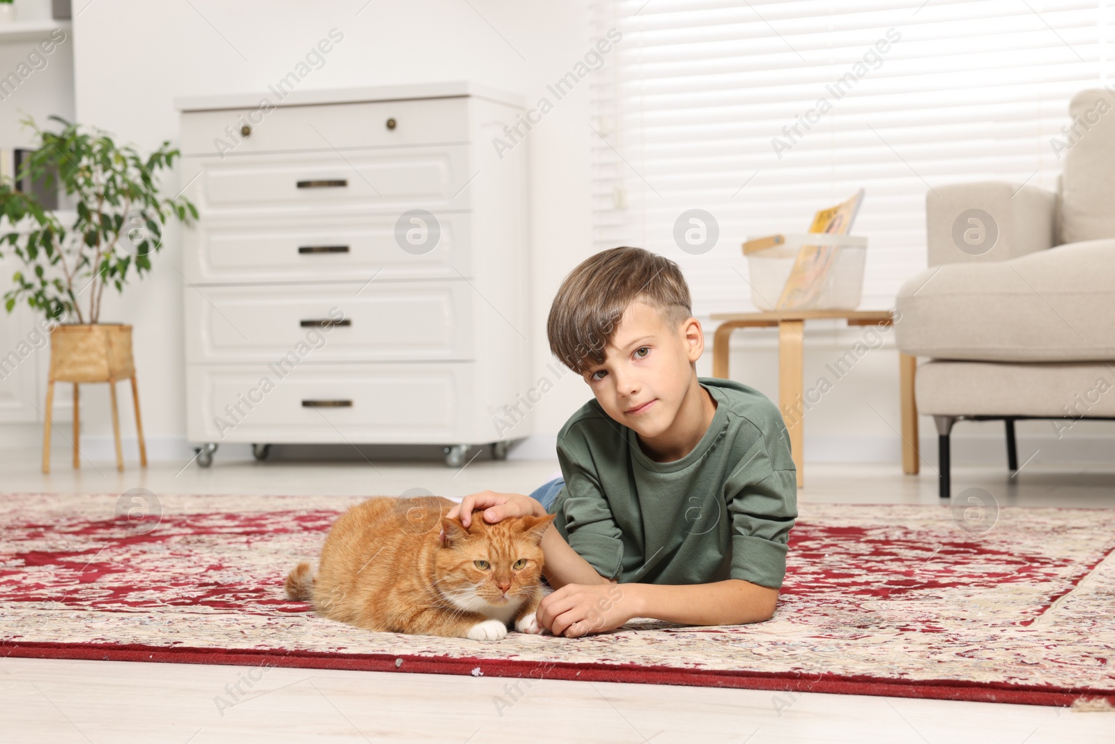 Photo of Little boy petting cute ginger cat on carpet at home