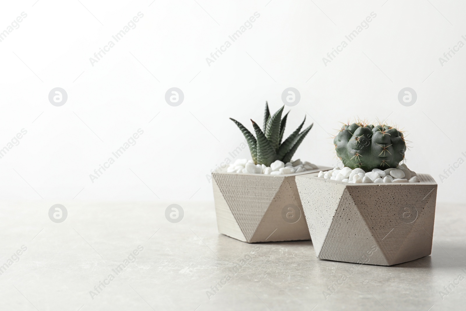 Photo of Beautiful succulent plants in stylish flowerpots on table against white background, space for text. Home decor