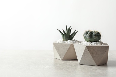 Beautiful succulent plants in stylish flowerpots on table against white background, space for text. Home decor