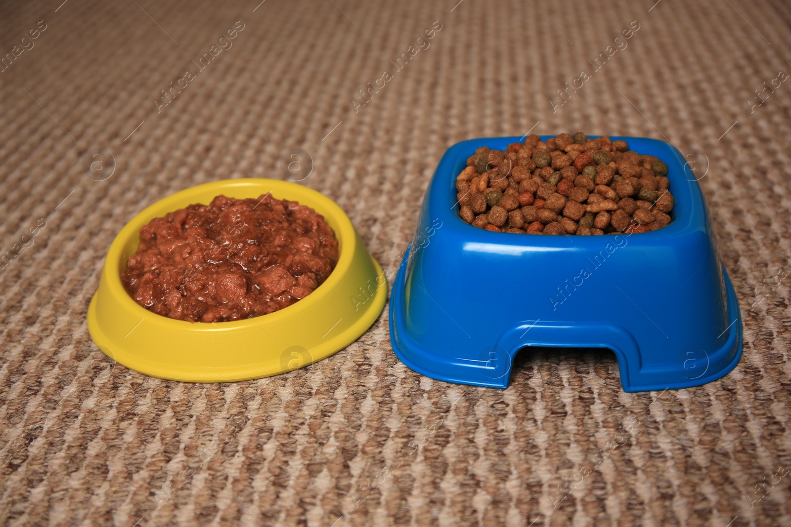 Photo of Dry and wet pet food in feeding bowls on soft carpet