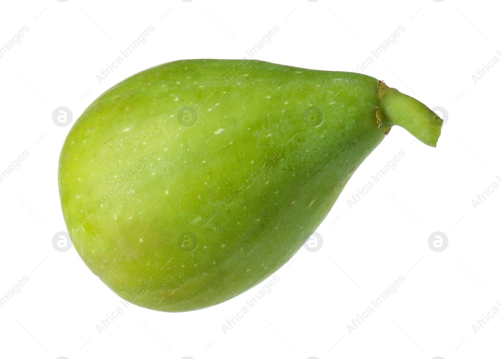 Photo of One fresh green fig isolated on white