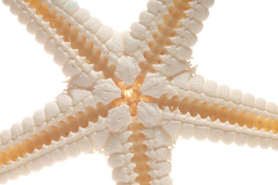 Beautiful starfish on white background, closeup view