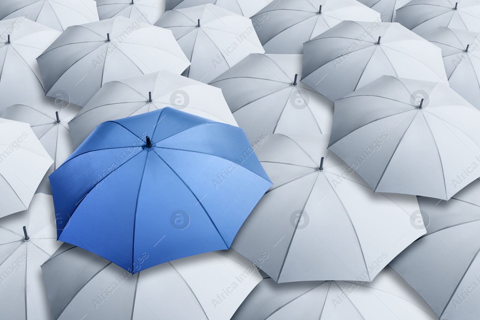 Image of Blue umbrella standing out of other ones, above view