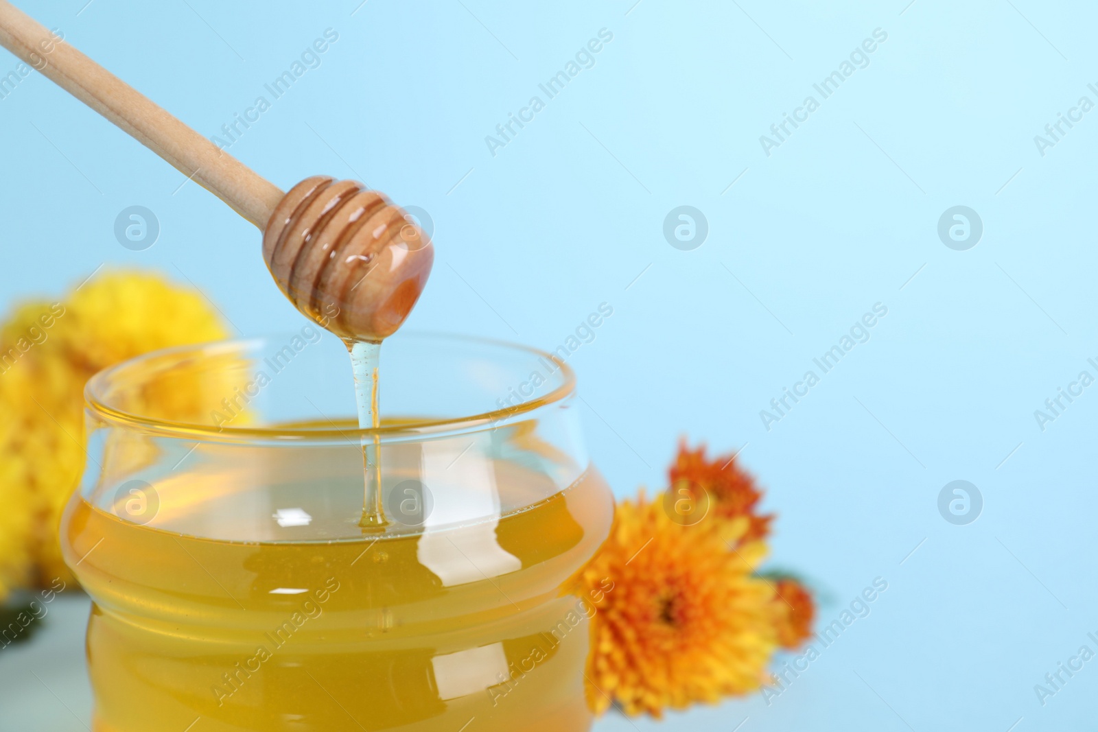 Photo of Jar of organic honey and dipper on light blue background, closeup. Space for text