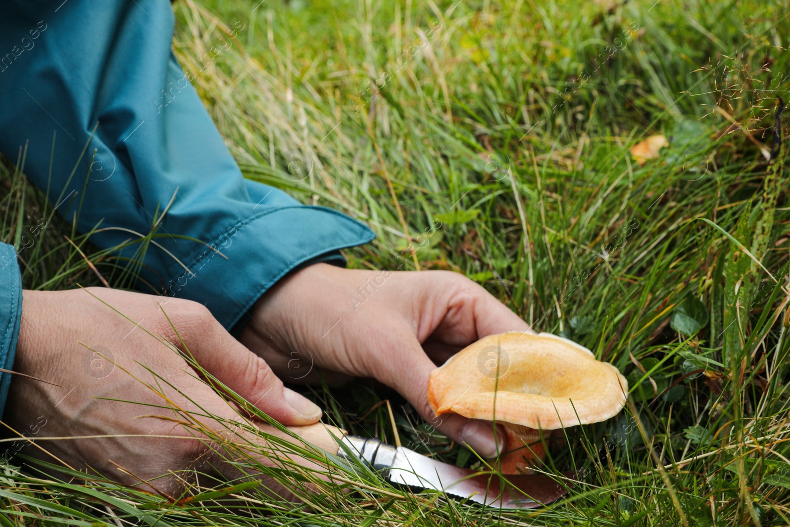Photo of Woman with knife cutting wild mushroom in forest, closeup