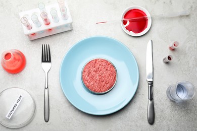 Photo of Cultured meat served on light grey lab table, flat lay