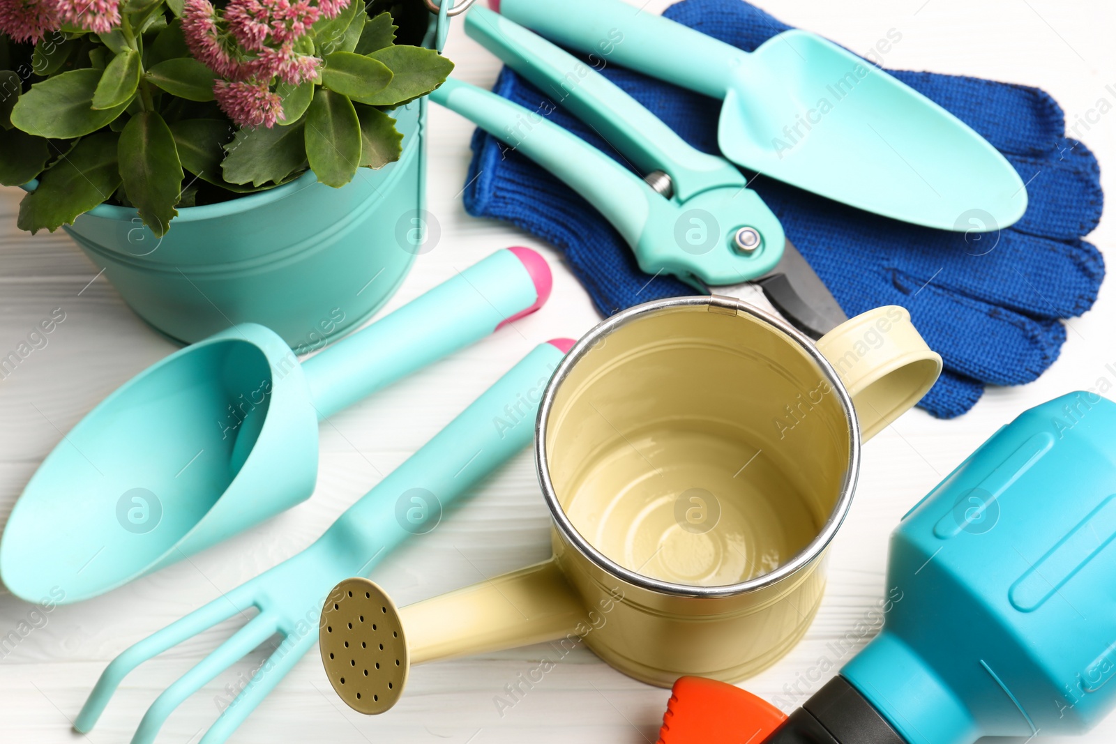 Photo of Watering can, gardening tools and plant on white wooden table