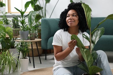 Photo of Relaxing atmosphere. Happy woman with ficus near another potted houseplants in room