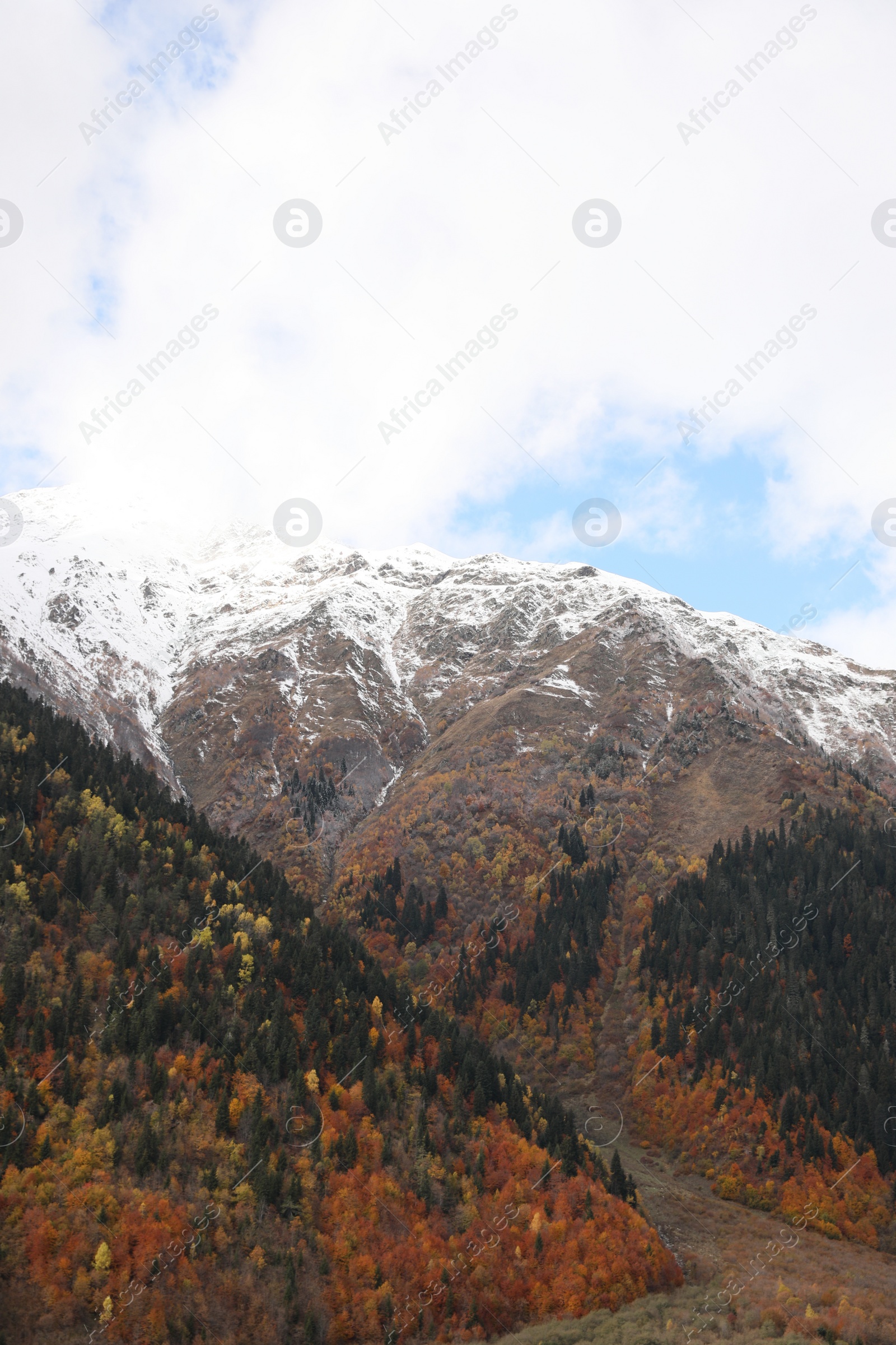 Photo of Picturesque view of mountain landscape with forest outdoors