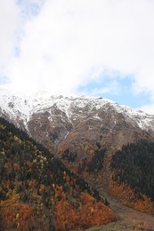 Picturesque view of mountain landscape with forest outdoors