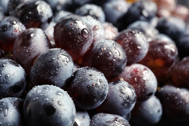 Bunch of fresh ripe juicy grapes as background. Closeup view