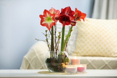 Beautiful red amaryllis flowers on white table in room