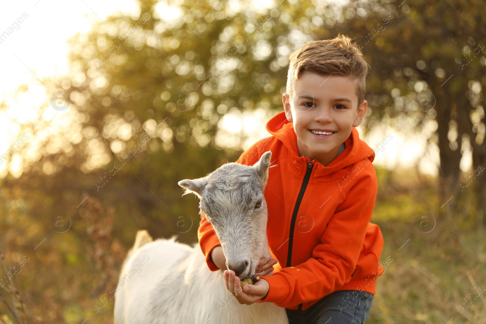 Photo of Farm animal. Cute little boy feeding goat on pasture