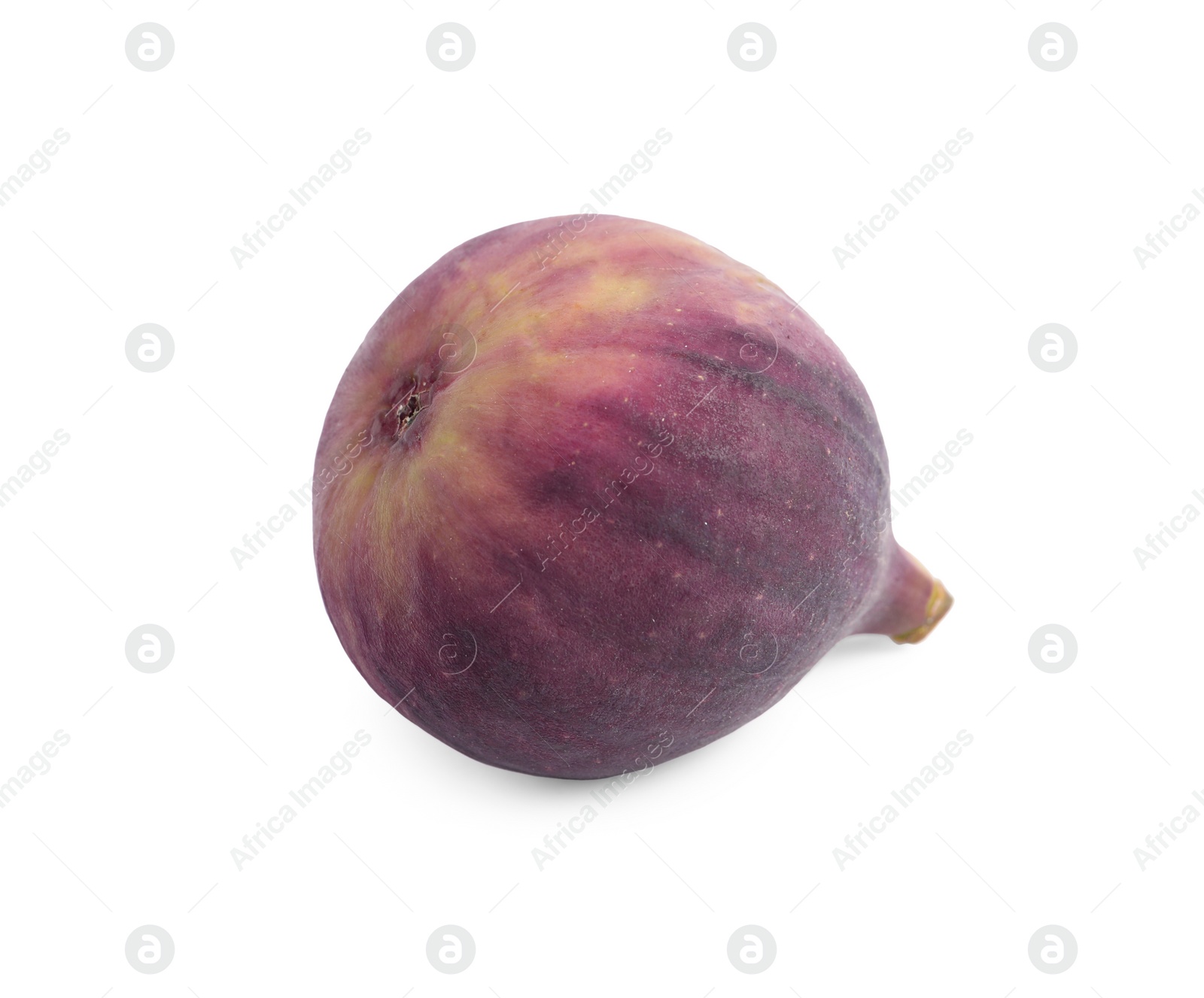 Photo of Whole ripe fresh fig isolated on white