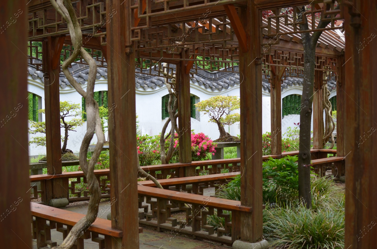 Photo of Beautiful wooden pergola and different plants in park