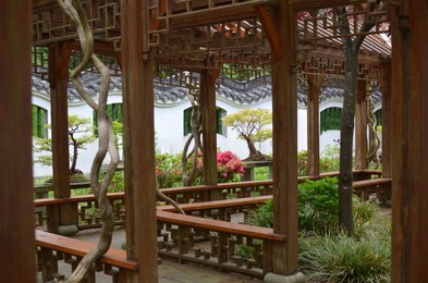 Photo of Beautiful wooden pergola and different plants in park